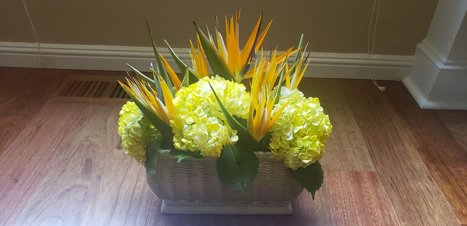 Pentecost Sunday Bird of Paradise Yellow Tinted Hydrangea